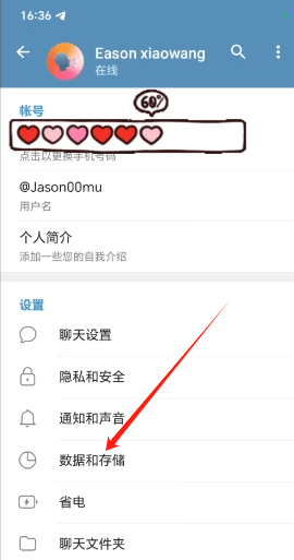 Telegram数据与存储设置